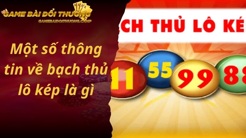 Một số thông tin về phương pháp bắt bạch thủ lô kép