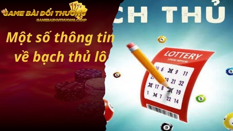 Tìm hiểu phương pháp bạch thủ lô siêu hấp dẫn