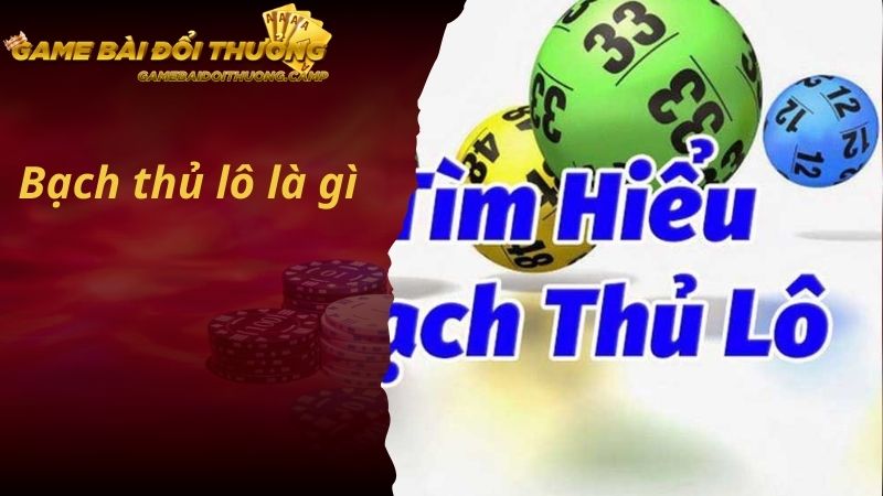 Bạch Thủ Lô - Bí Kíp Đặt Cược Thắng Đậm Được Chia Sẻ Từ Cao Thủ