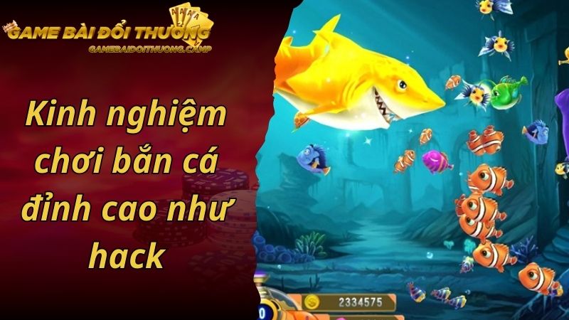 Kinh nghiệm chơi bắn cá đỉnh cao như hack