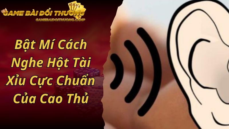 Bật Mí Cách Nghe Hột Tài Xỉu Cực Chuẩn Của Cao Thủ