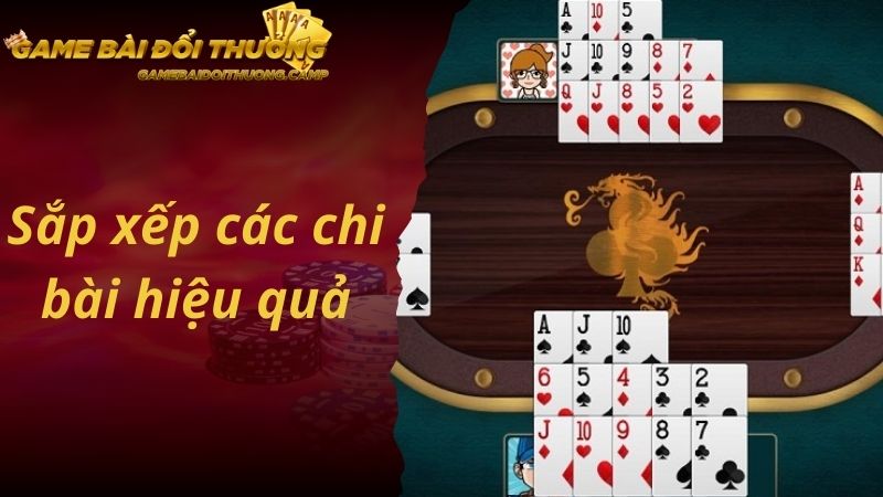 Sắp xếp các chi bài hiệu quả