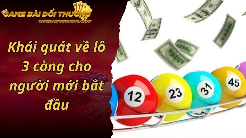 Khái quát về lô 3 càng cho người mới bắt đầu