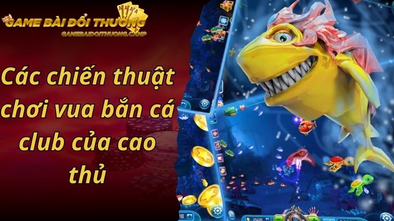 Các chiến thuật chơi vua bắn cá club của cao thủ